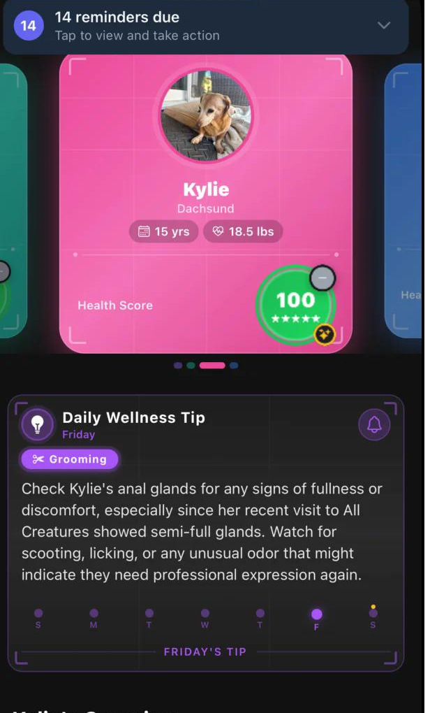 VetGPT app showing Kylie the Dachshund with a health score of 100 and personalized daily wellness tip
