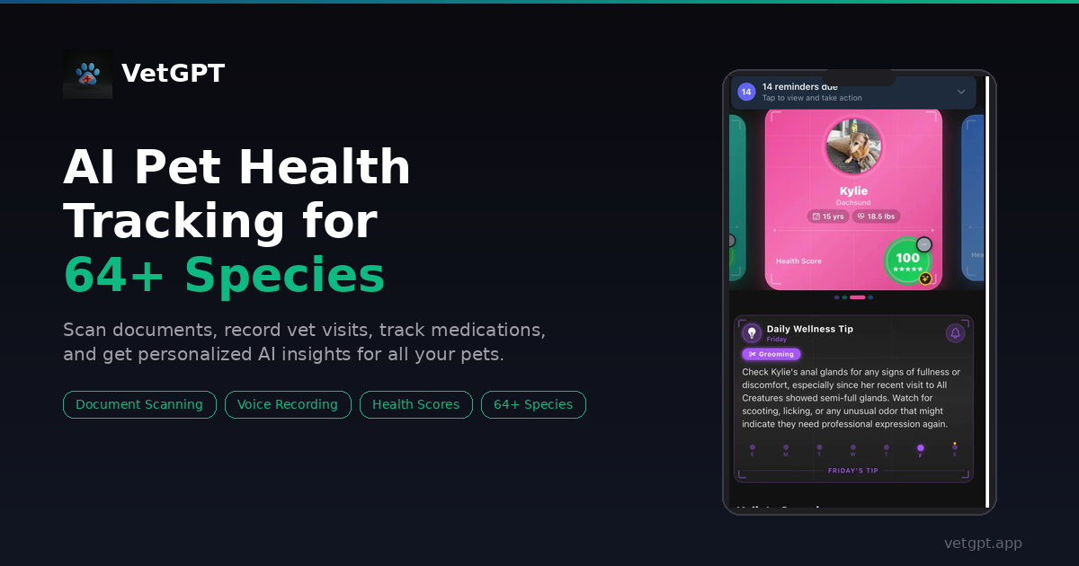 VetGPT social preview image