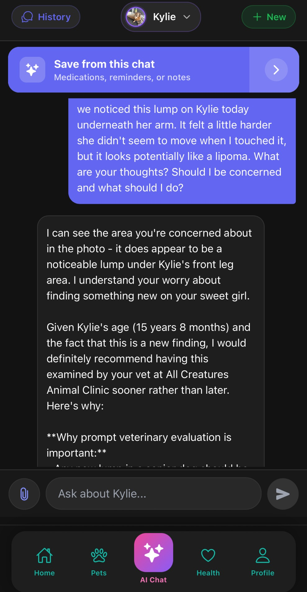 VetGPT AI chat analyzing a lump on Kylie the Dachshund and recommending a vet visit