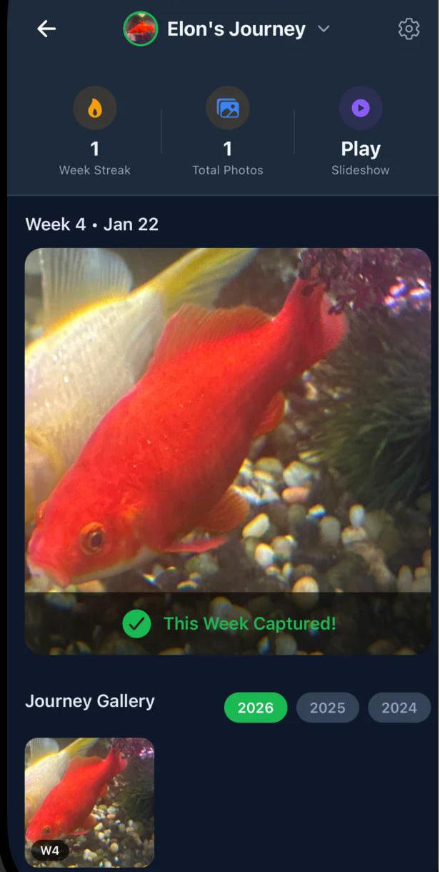VetGPT pet journey showing Elon the Goldfish with weekly photo tracking and health streak